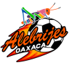 Alebrijes de Oaxaca 